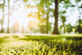 Lunes soleado y con una máxima de 30 grados