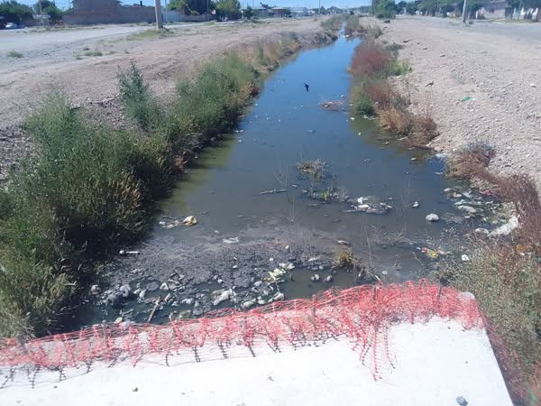 Centenario declara la emergencia ambiental por el colapso del sistema cloacal