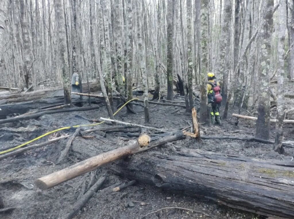 Incendios intencionales en cercanías al Lago Falkner del Parque Nacional Nahuel Huapi
