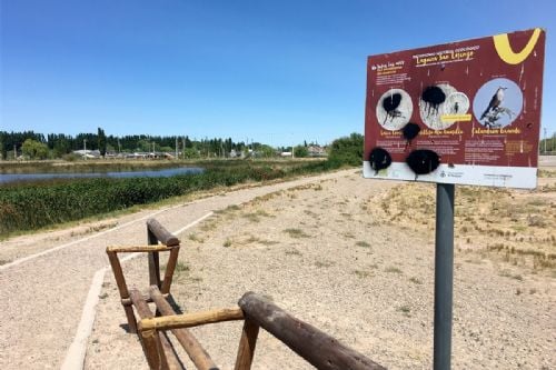 El intendente Gaido inicia las obras en la laguna de San Lorenzo