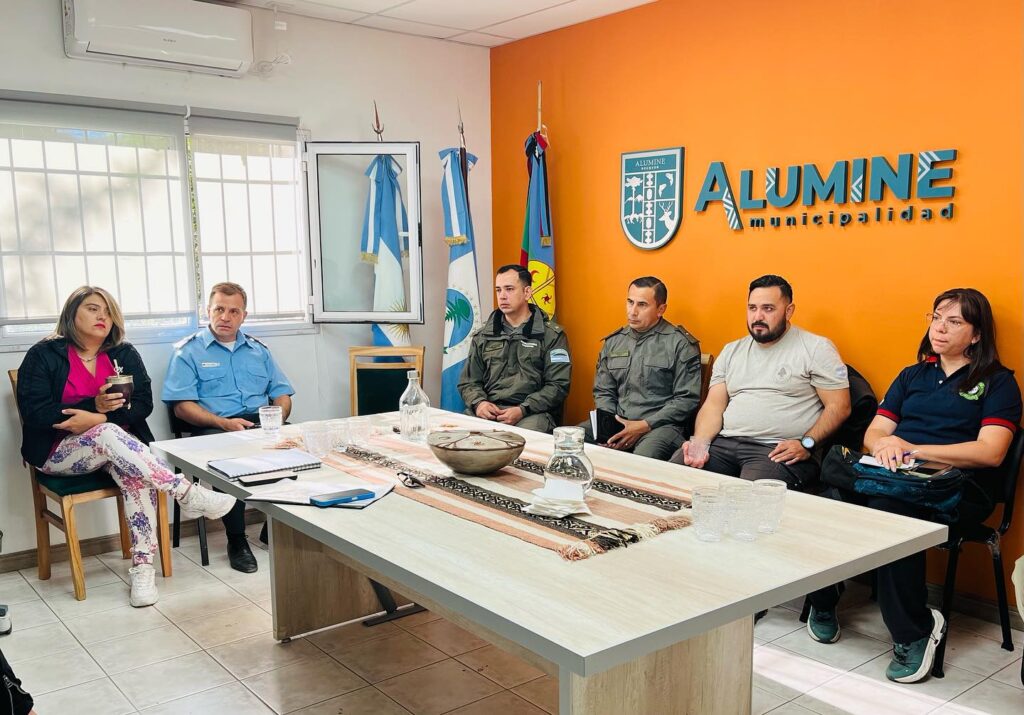 Se formó el Comité de Emergencia Municipal en Aluminé para coordinar acciones contra el fuego