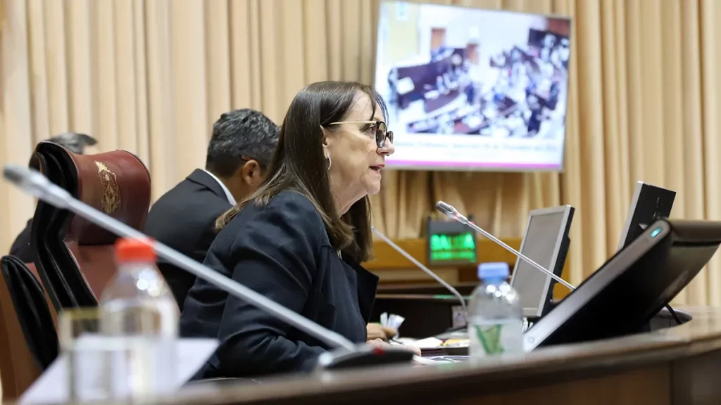 Zulma Reina convocó a los 35 diputados para definir la agenda del 2025