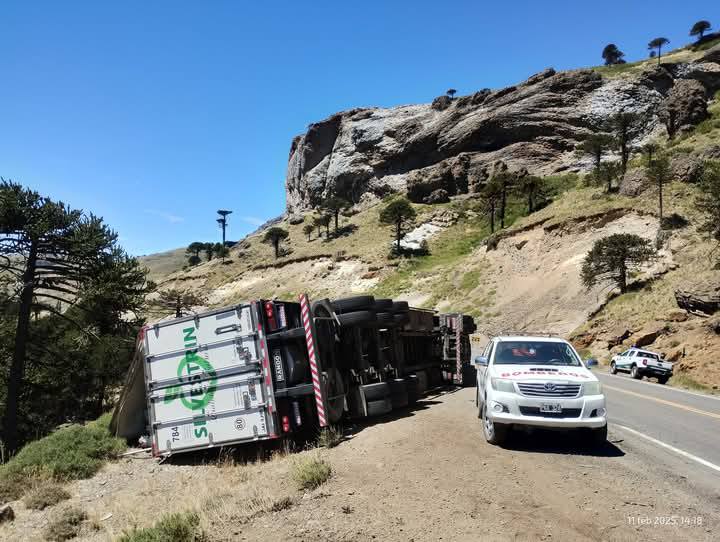 Camión brasileño que transportaba salmón volcó en cercanías a Pino Hachado