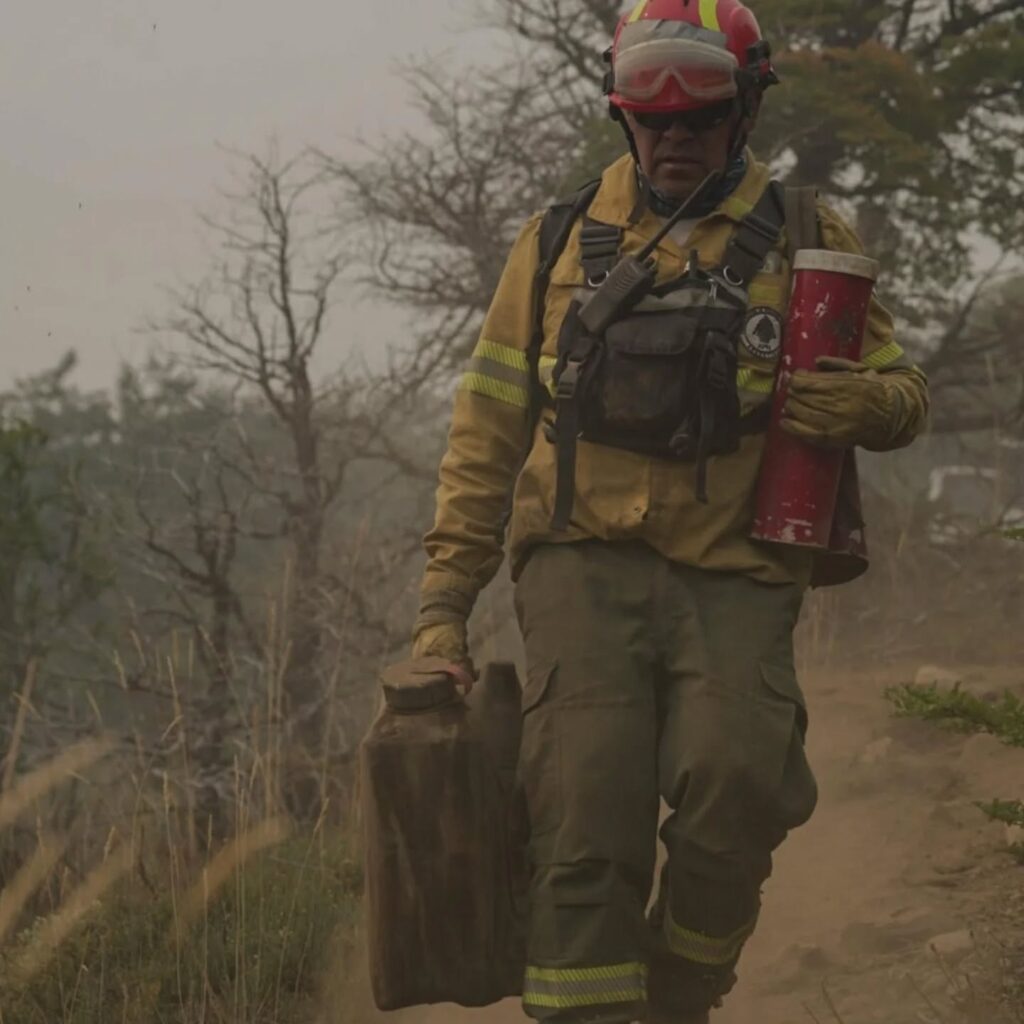 Informe: Incendio Valle Magdalena, Parque Nacional Lanín