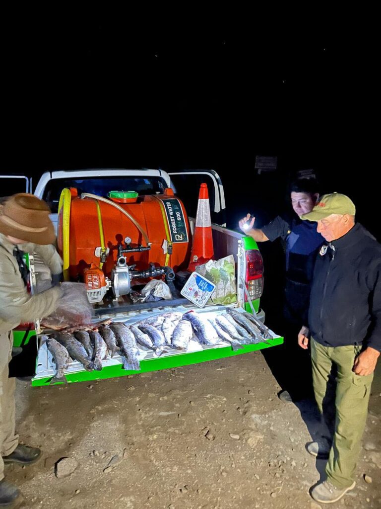 Piedra del Águila y Alicurá: decomiso de salmónidos y actas por infracciones