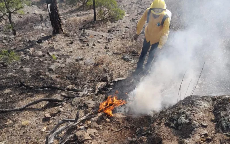 Se extinguieron más de 60 fogones en áreas no autorizadas en Neuquén