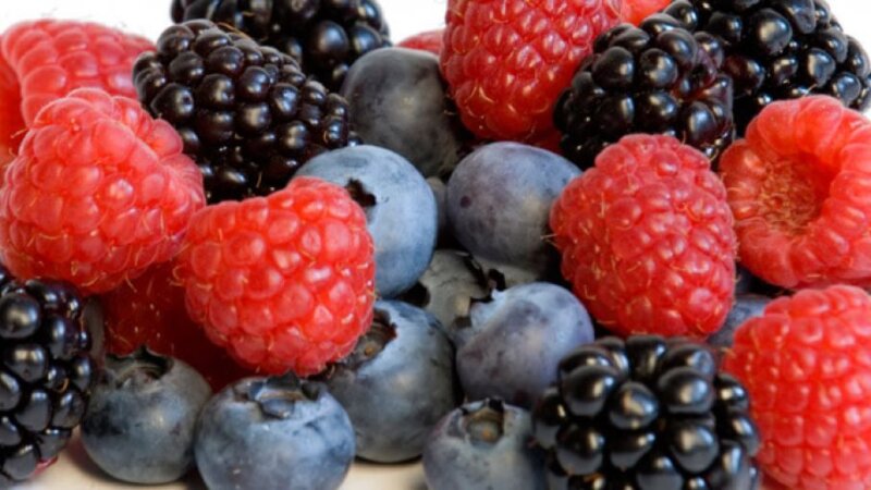 Familias productoras de fruta fina comercializarán en el centro de Neuquén