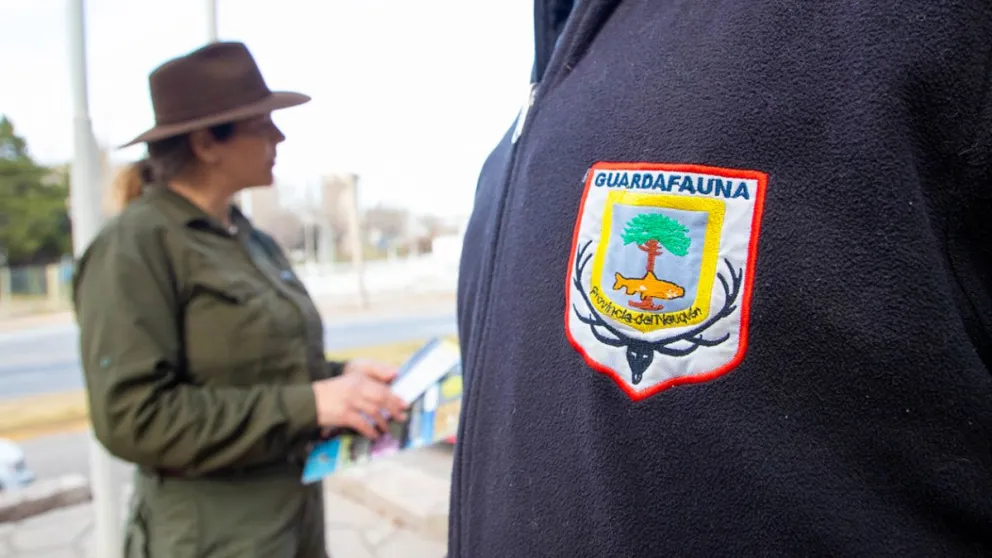 Fauna incautó carne de ciervo colorado no apta para su comercialización