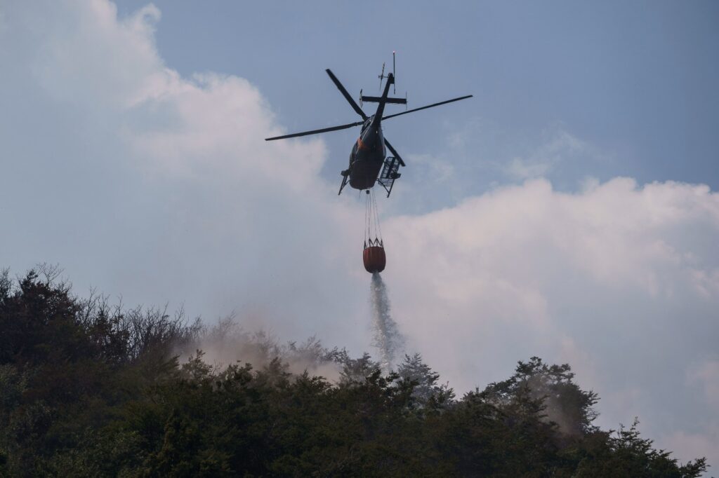 Incendio en Parque Nacional Lanín: 5.000 hectáreas arrasadas por el fuego