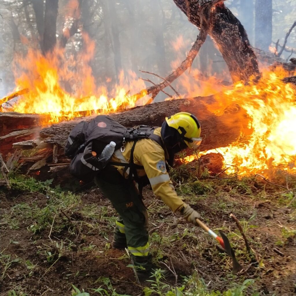 Penas no excarcelables para quienes provoquen incendios