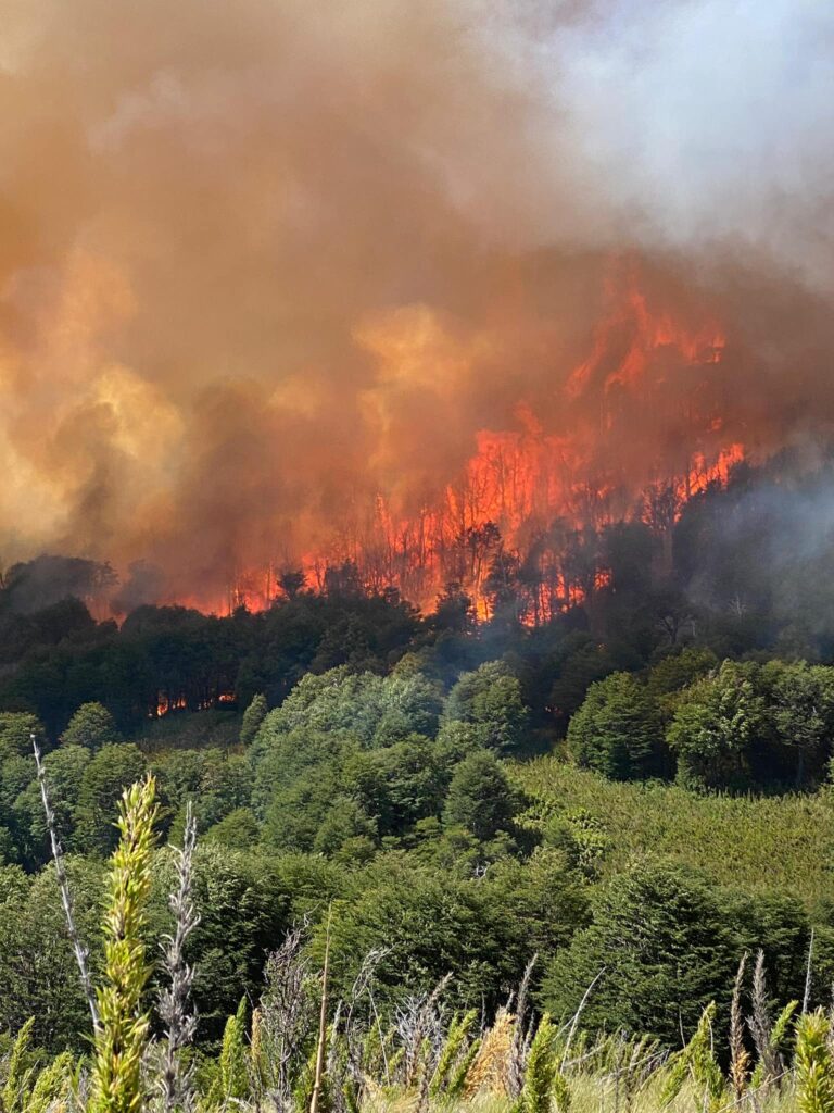 El proyecto para prevenir incendios forestales sigue en análisis en comisión