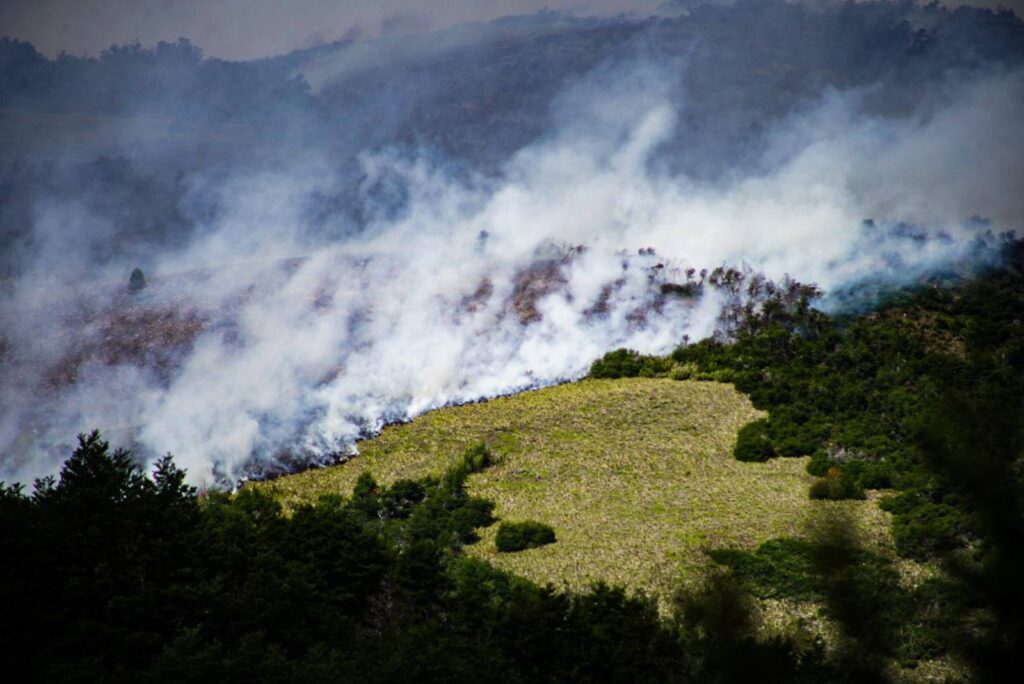 Gobernadores patagónicos se unen para combatir incendios forestales