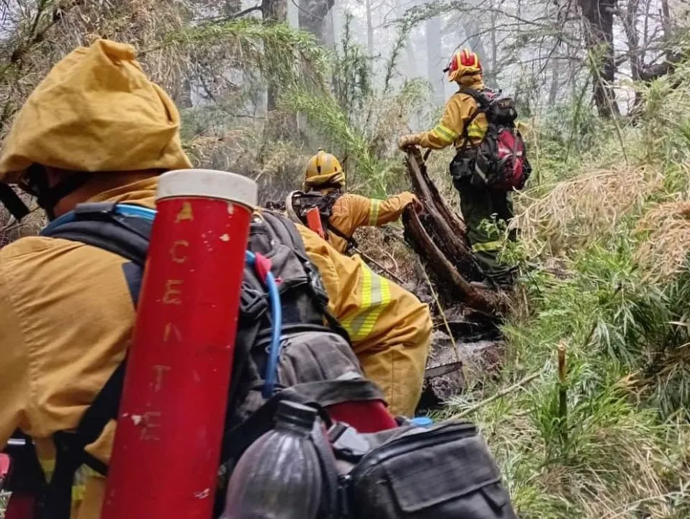 El incendio en Valle Magdalena afecta 2651 hectáreas: se intensifica el operativo
