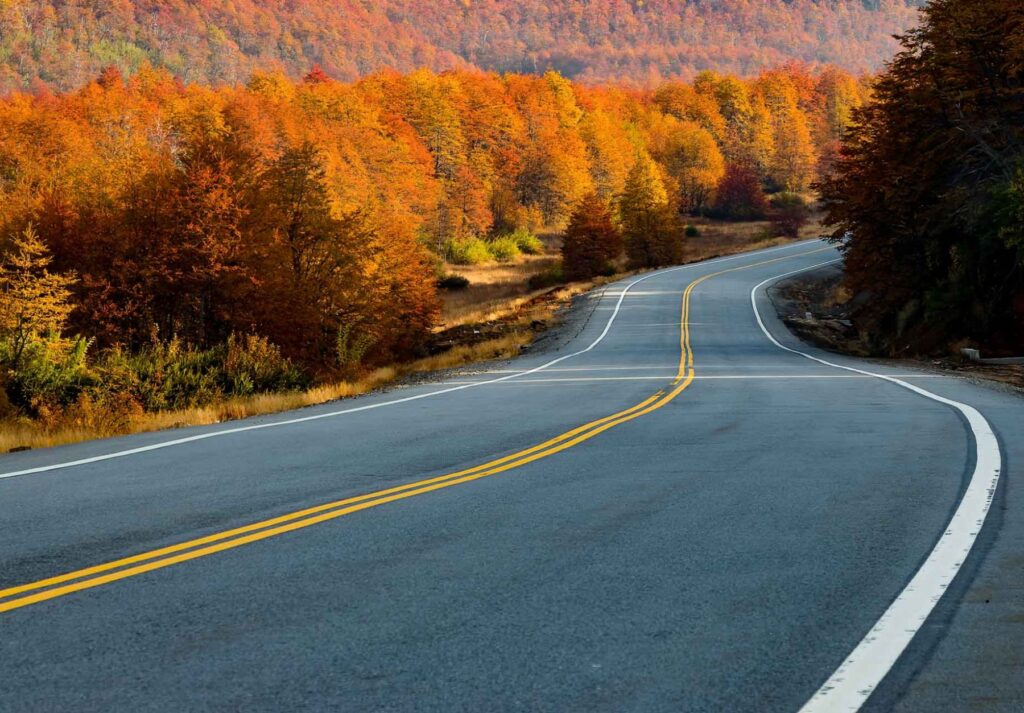 Un turista suizo murió mientras andaba en su bicicleta por la Ruta de los Siete Lagos