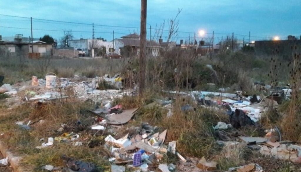 Multas y limpieza obligatoria de terrenos baldíos en mal estado