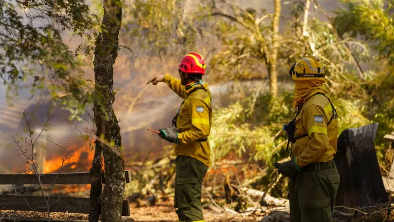 Diputados distinguieron a brigadistas que combatieron incendios en el Parque Nacional Lanín