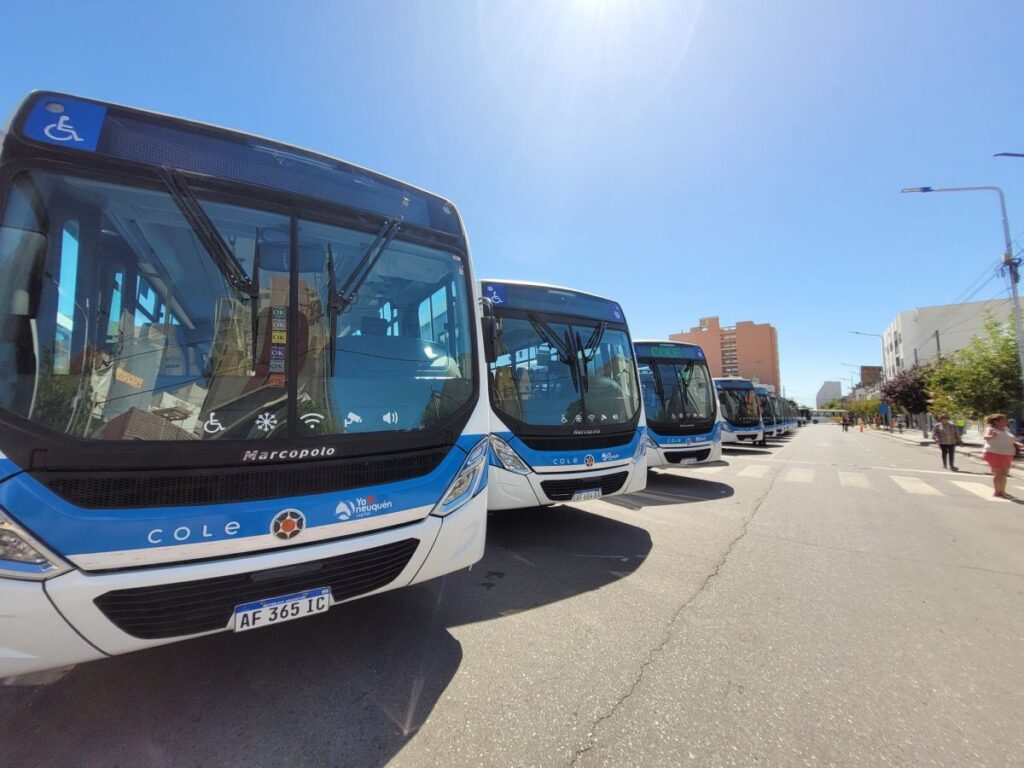 Neuquén presentará nuevas unidades de transporte urbano COLE el próximo jueves