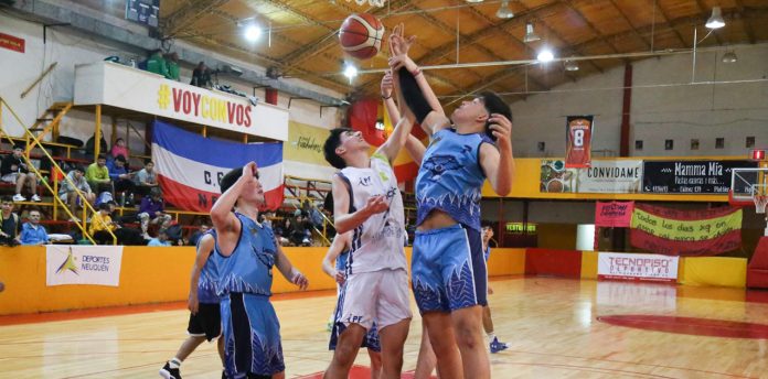 Nuevo proyecto de Registro Único de Deportes para mejorar la gestión