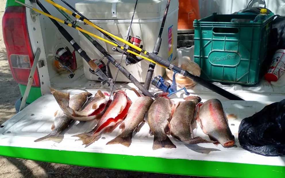 Secuestraron 32 truchas que llevaban pescadores furtivos en Junín de los Andes