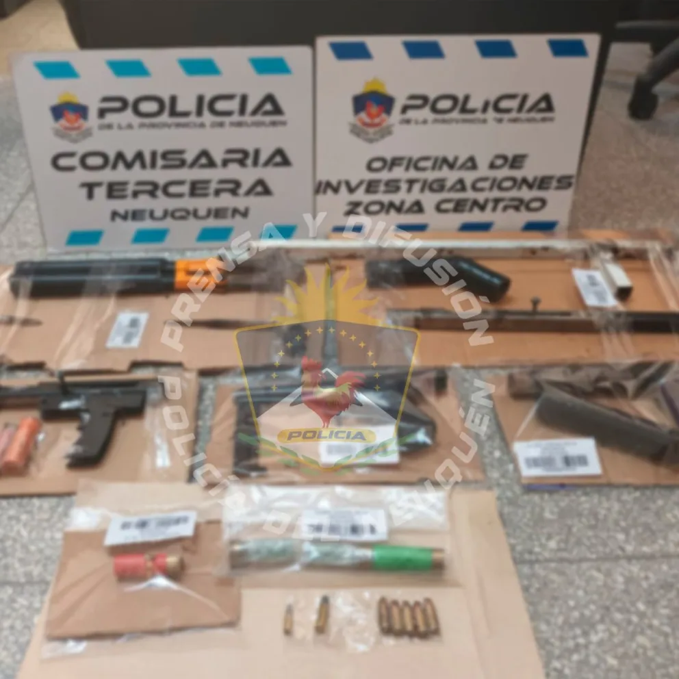 Secuestran armas, municiones y plantas de cannabis; cinco personas demoradas