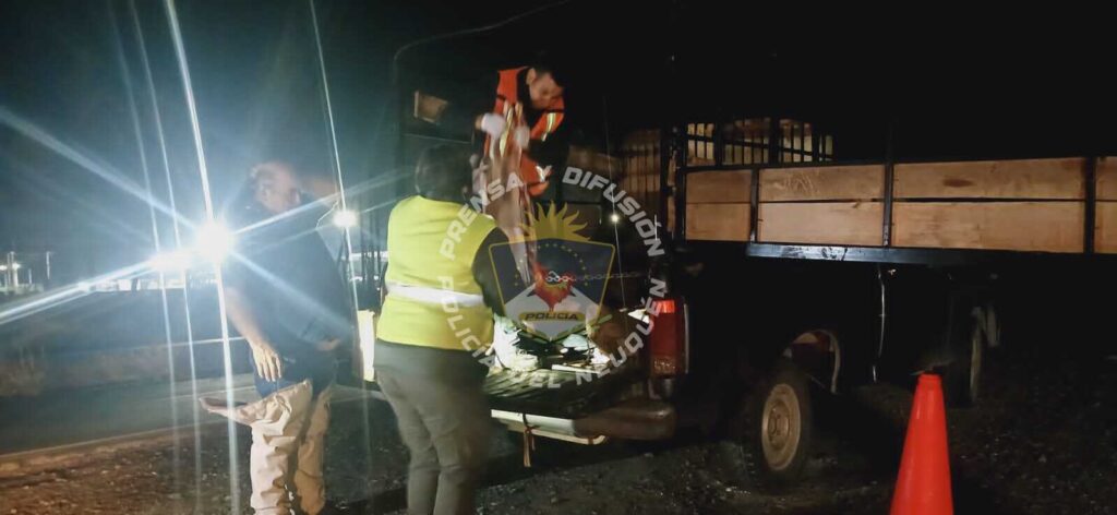 Operativo en el norte neuquino: secuestran carne transportada sin habilitación