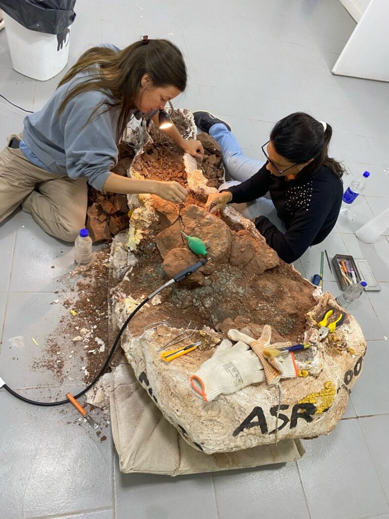 Huevos fósiles en excelente estado fueron hallados en Añelo