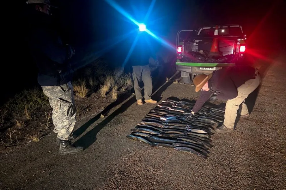 Entregaron truchas incautadas a comedores comunitarios