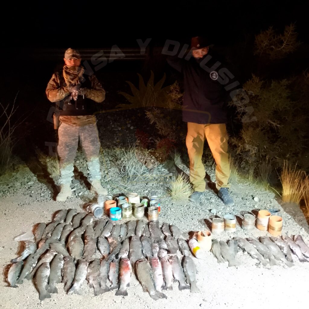 Junín de los Andes: incautan truchas tras operativo por pesca ilegal