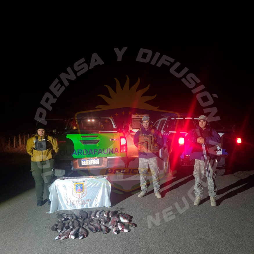 Patrullaje nocturno en rutas del sur: decomisan truchas y elementos de pesca