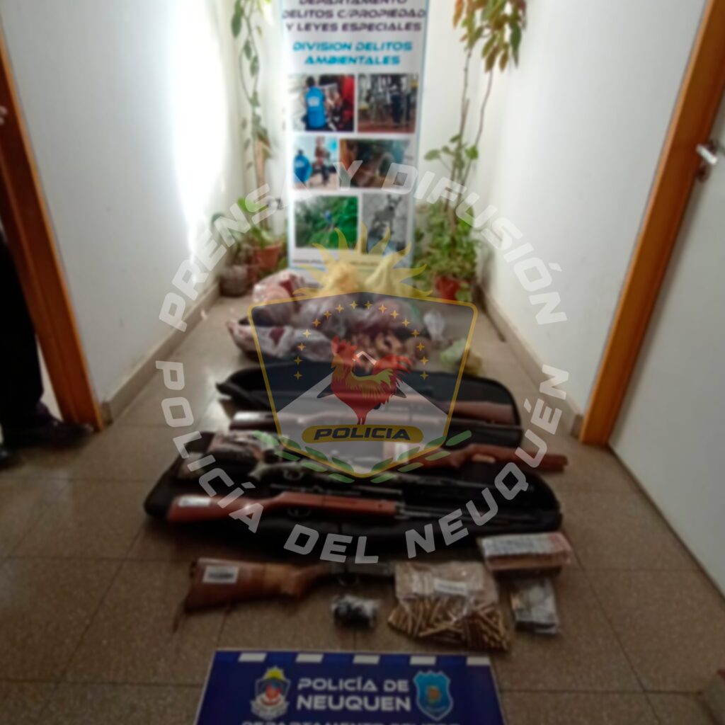 Caza furtiva: incautan armas y animales silvestres en Cutral Co y Plaza Huincul