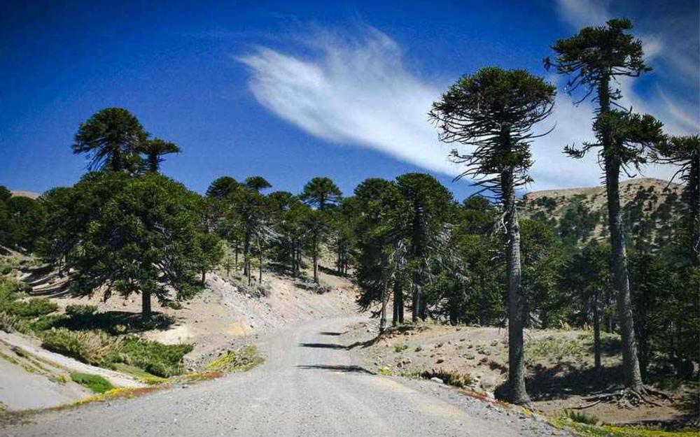 Neuquén pone en valor la Ruta 23 como corredor escénico y cultural del sur provincial