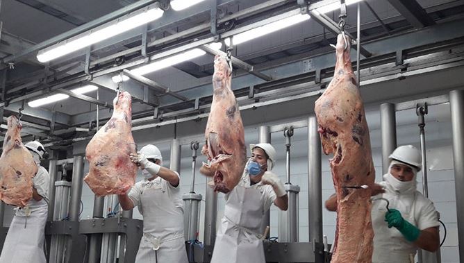 El campo patagónico, en alerta por la posible apertura del ingreso de carne con hueso