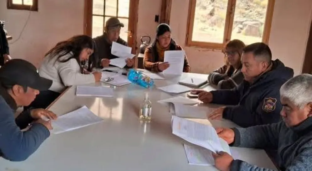 Buscan prevenir accidentes por animales sueltos en caminos rurales