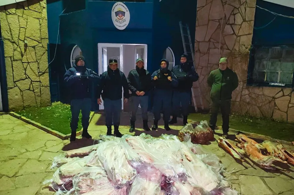 Detectan más de 700 kilos de carne sin condiciones sanitarias en el paso Pata Mora