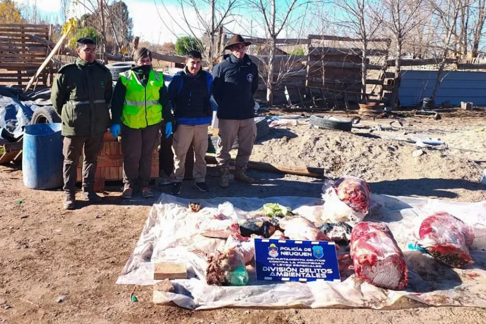 Allanan un matadero ilegal de caballos en la zona de meseta