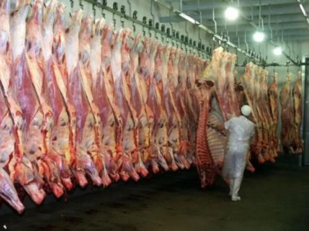 Senasa prorrogó la suspensión del ingreso de carne con hueso por 60 días más