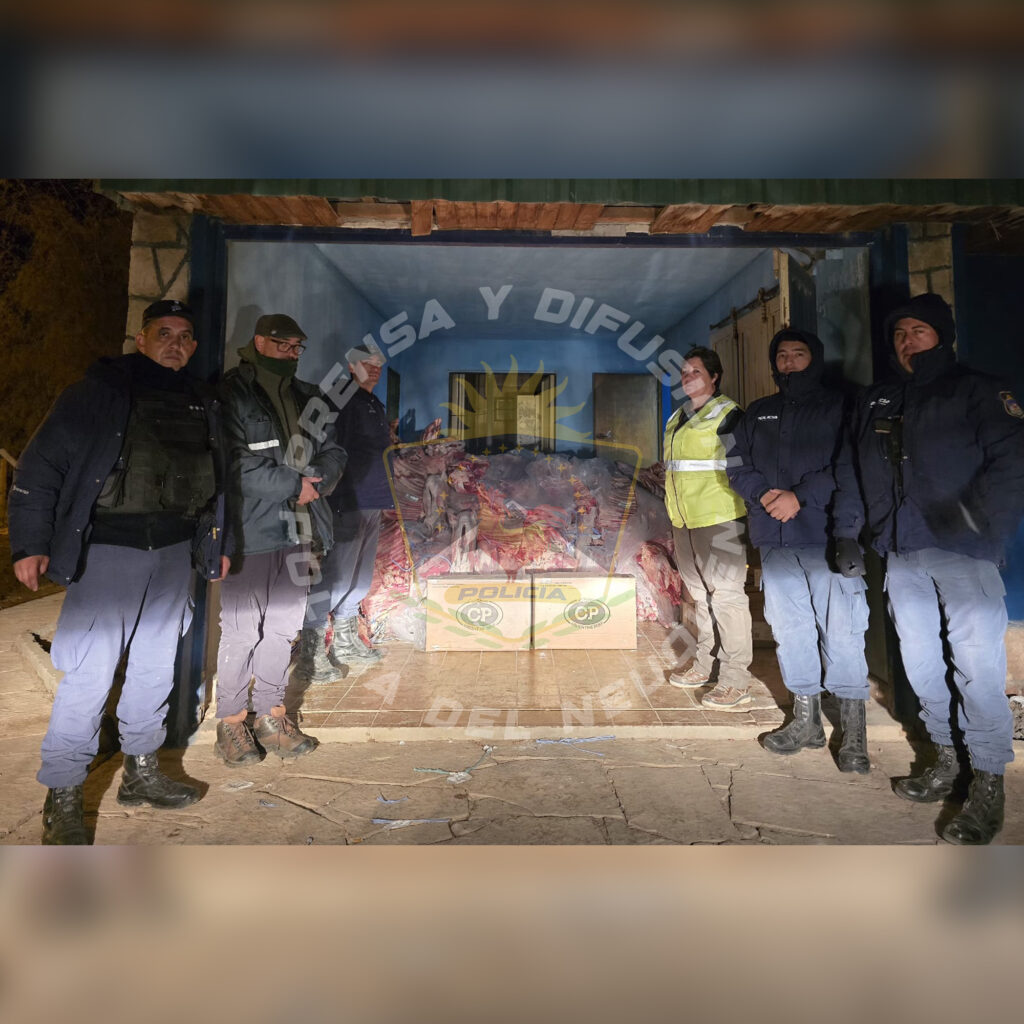 Decomisan cargamento irregular de carne valuado en más de 88 millones de pesos