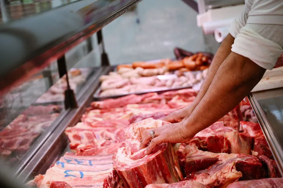 Senasa oficializó condiciones para el ingreso de carne a la región patagónica