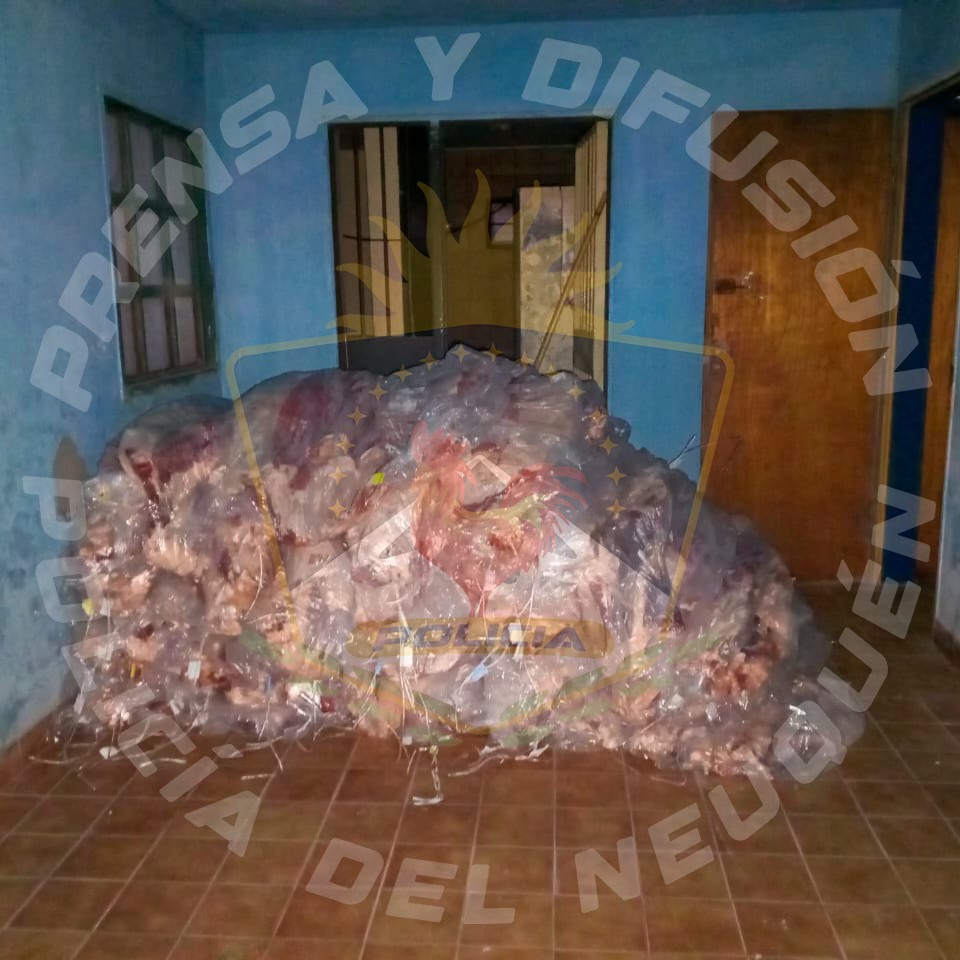 Más de 3 toneladas de carne fueron incautadas en ingreso a Neuquén