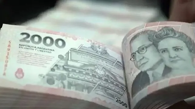 El Gobierno fijó el Salario Mínimo en $313.400 desde junio