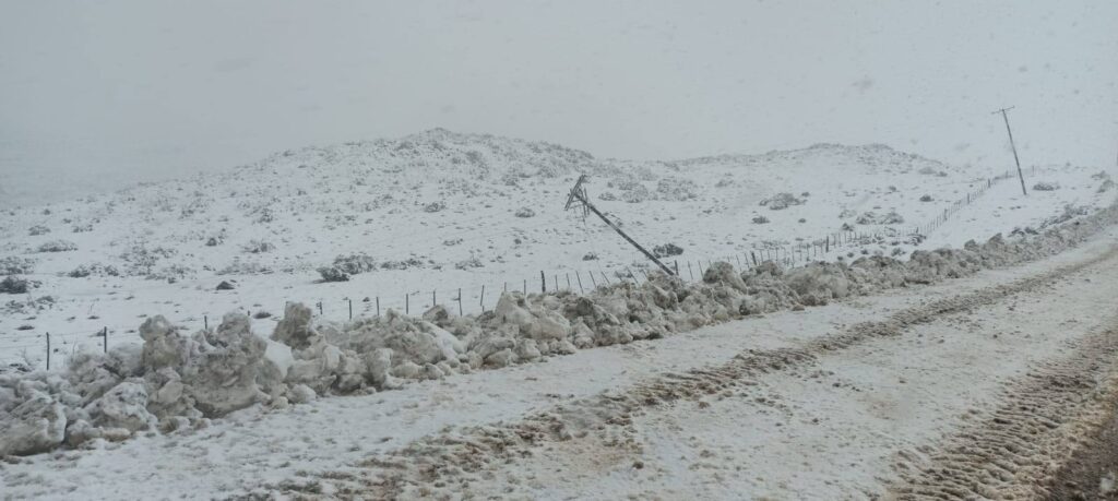 El viento y la nieve provocaron cortes de luz en el norte neuquino