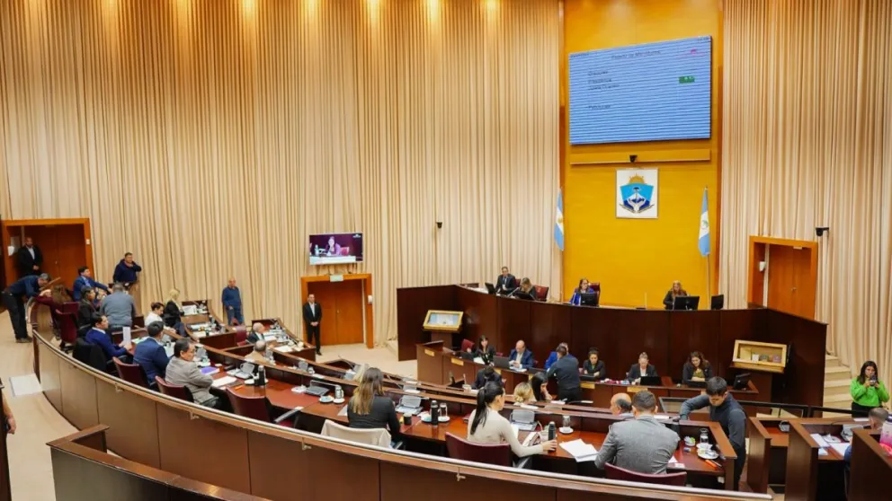La Legislatura neuquina cuestionó recortes por decreto y veto