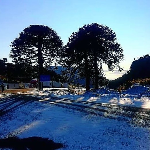 Habilitaron el Paso Pino Hachado y se libera el tránsito de camiones