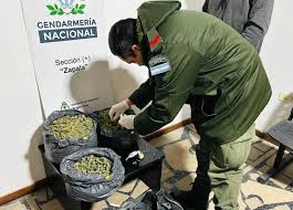 Decomisan marihuana oculta en vehículo en operativo en Zapala