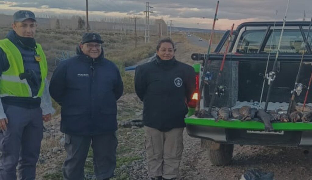 Decomisan 12 truchas y cañas de pescar en operativo por pesca ilegal