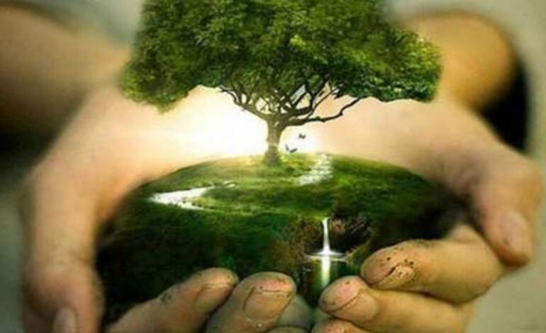 Actividades gratuitas en la ciudad por el Día del Árbol