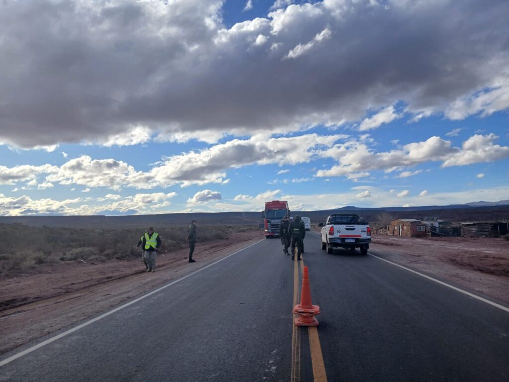 Caza y pesca ilegales: operativo con secuestros en Neuquén