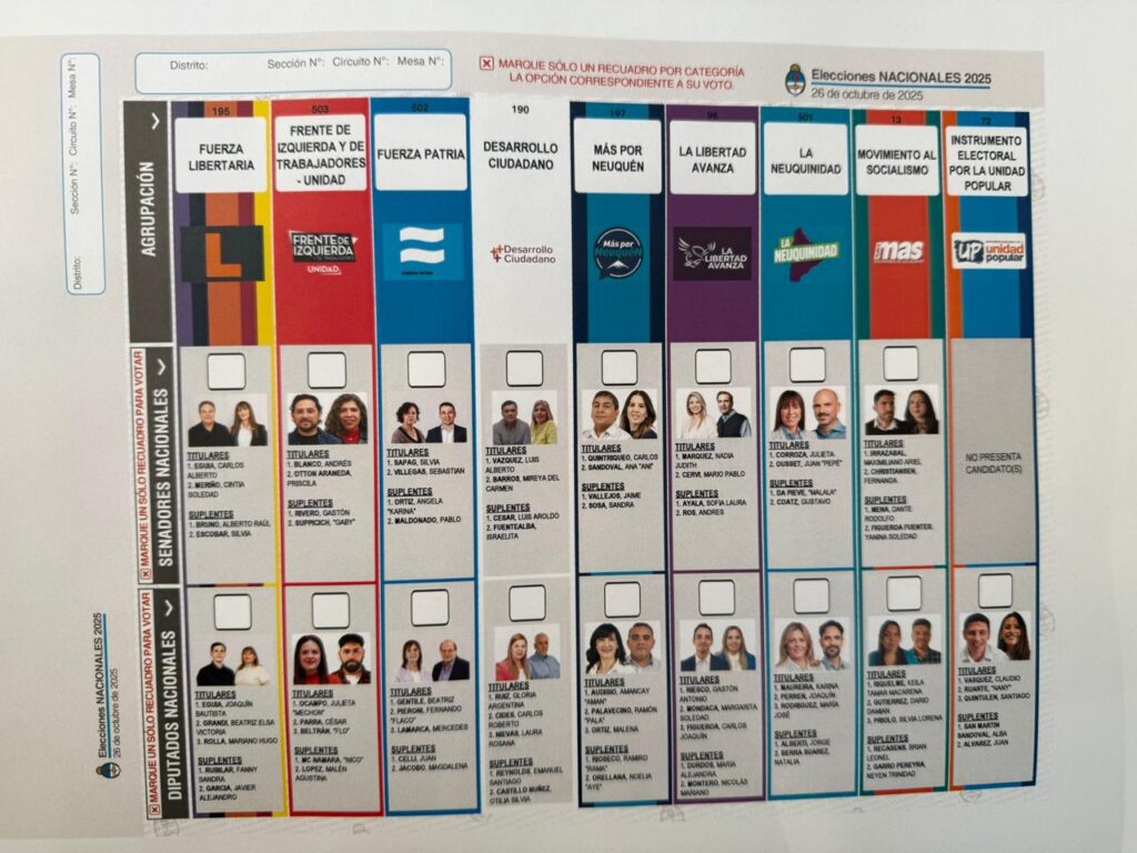 Neuquén oficializa candidatos y prepara la Boleta Única para las legislativas