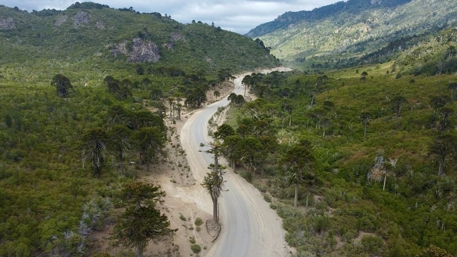 Ruta 11: iniciaron los trabajos de asfaltado en Moquehue