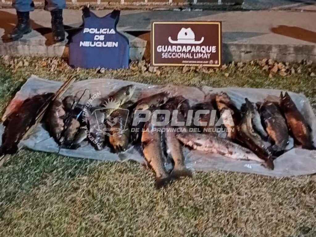 Villa La Angostura: atraparon a un hombre con pedido de captura y pesca ilegal